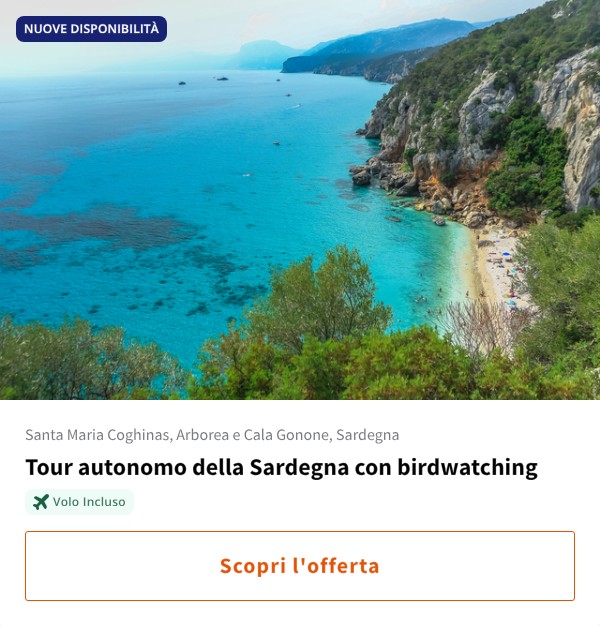 Tour autonomo della Sardegna con birdwatching