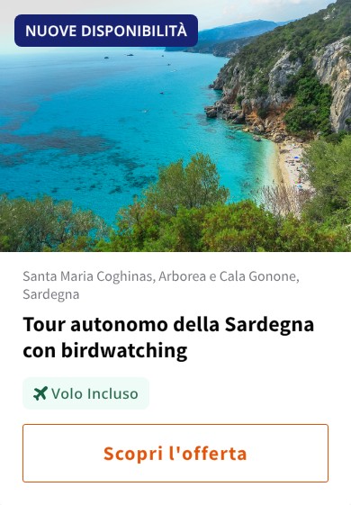 Tour autonomo della Sardegna con birdwatching