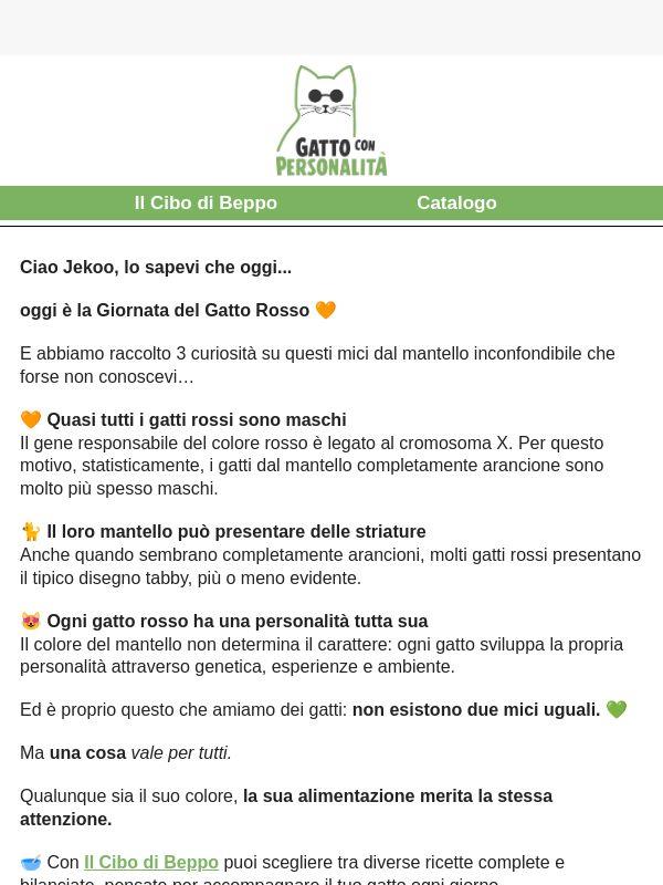 Lo sapevi che oggi è...