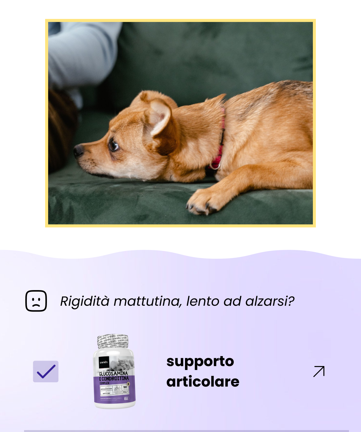 Il tuo animale non può dirti quando qualcosa non va. Ci pensa il suo corpo. Una salita delle scale più lenta. Un po' più di prurito del solito. Camminare avanti e indietro vicino alla porta prima che tu esca. Nessuno di questi comportamenti è un'emergenza, ma ognuno merita una risposta delicata. Creiamo supporto naturale per tutti e tre.