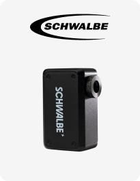 Schwalbe