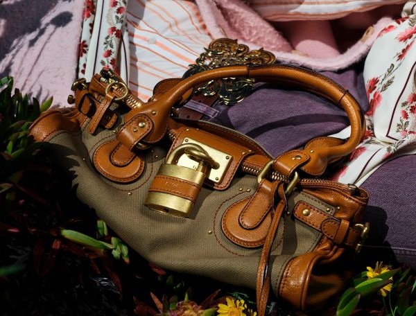FOCUS ON: THE PADDINGTON