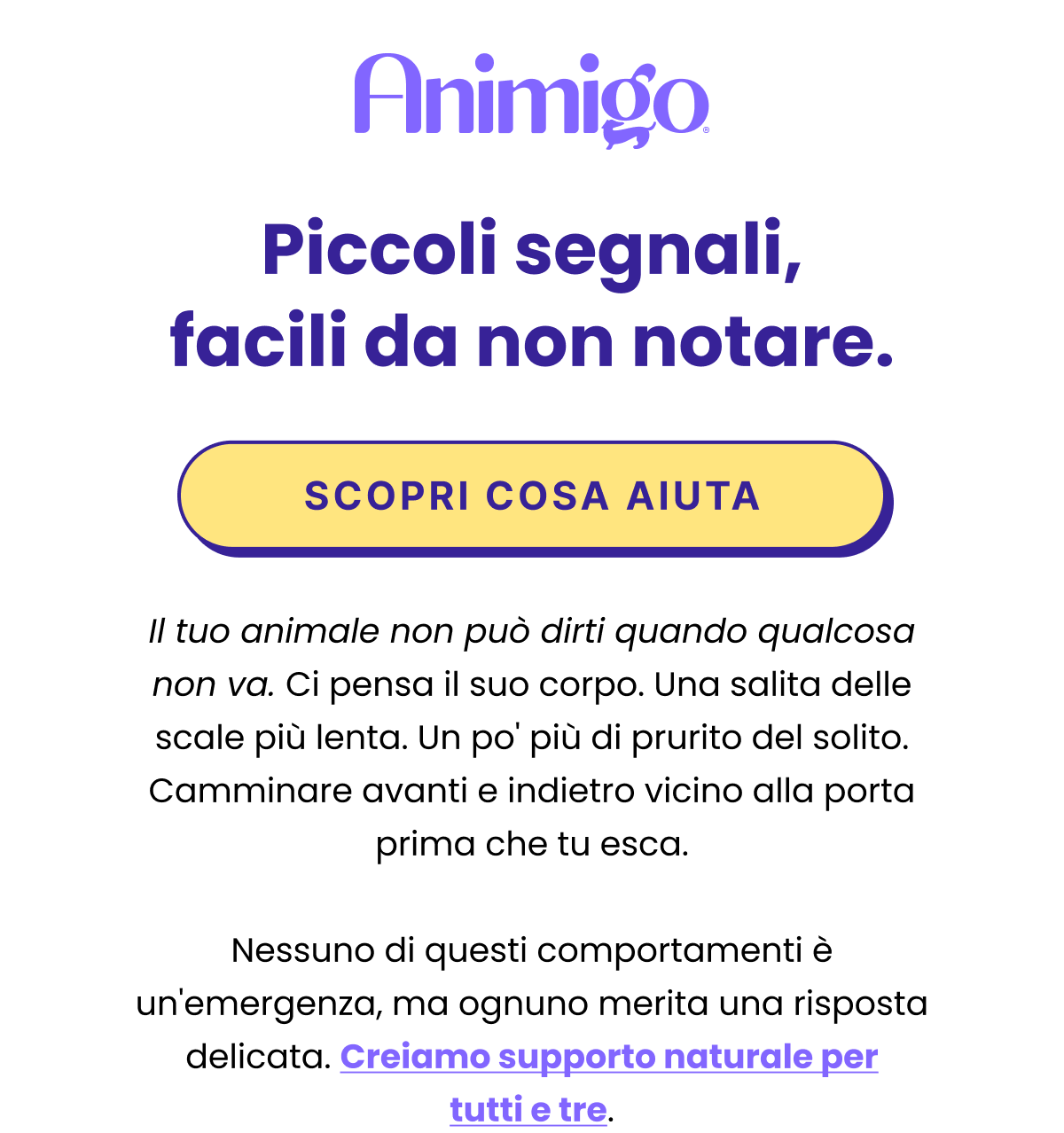 PICCOLI SEGNALI, FACILI DA NON NOTARE