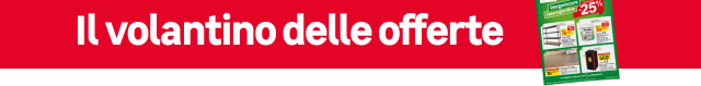 Il volantino delle offerte