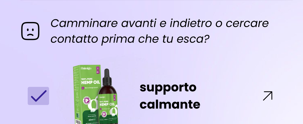 - Camminare avanti e indietro o cercare contatto prima che tu esca → supporto calmante