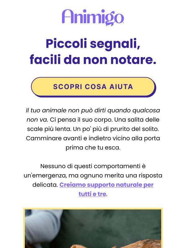 Facile non notarli, facile aiutarli