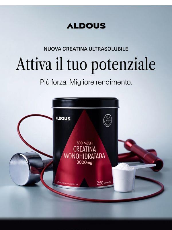 Nuova Creatina in polvere | 250 g - 500 Mesh