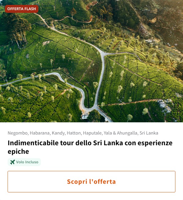 Indimenticabile tour dello Sri Lanka con esperienze epiche