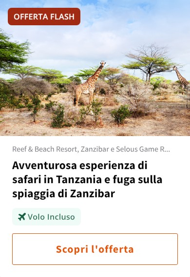 Avventurosa esperienza di safari in Tanzania e fuga sulla spiaggia di Zanzibar