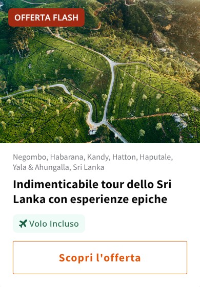 Indimenticabile tour dello Sri Lanka con esperienze epiche