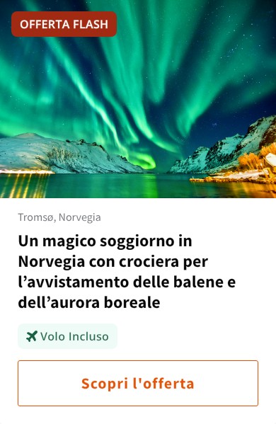 Un magico soggiorno in Norvegia con crociera per l%27avvistamento delle balene e dell%27aurora boreale