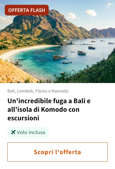 Un'incredibile fuga a Bali e all'isola di Komodo con escursioni
