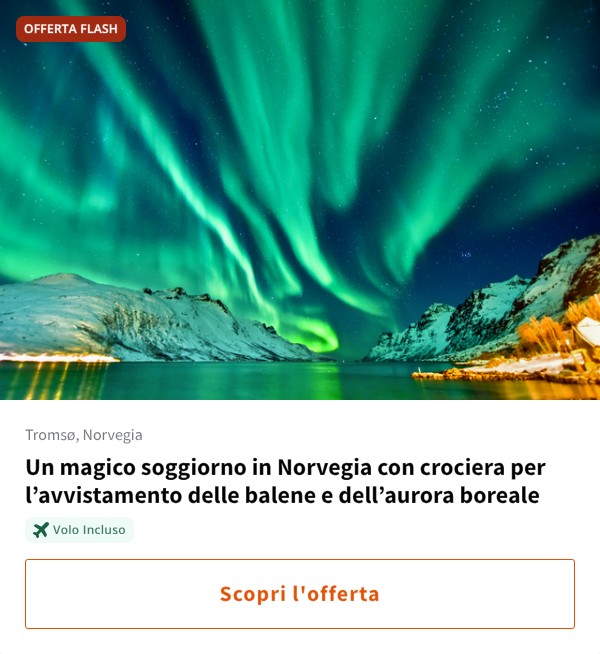 Un magico soggiorno in Norvegia con crociera per l%27avvistamento delle balene e dell%27aurora boreale