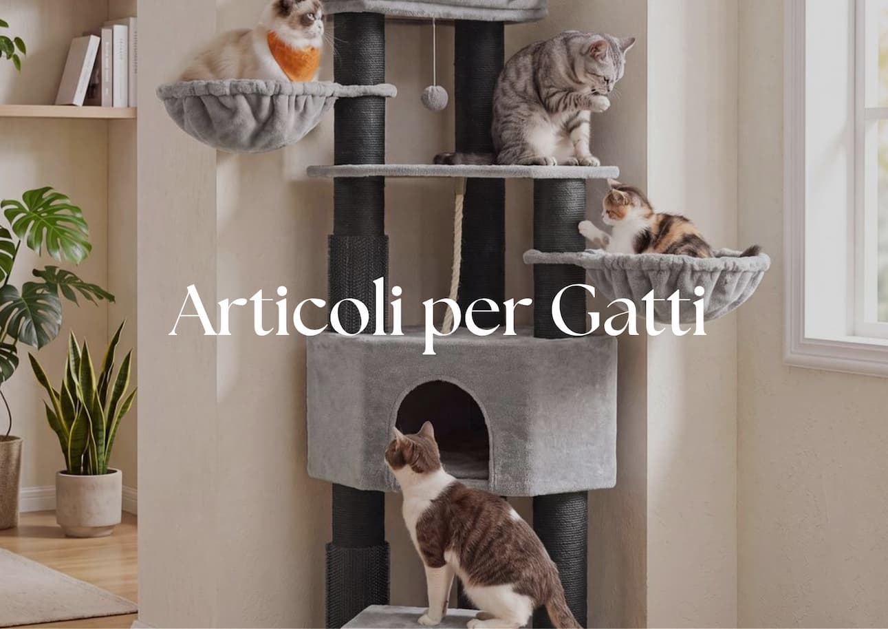articoli-per-gatti