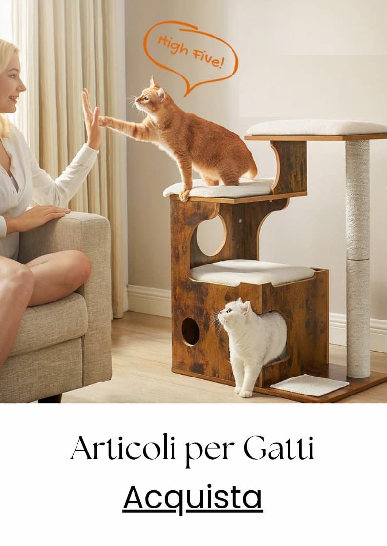 articoli-per-gatti