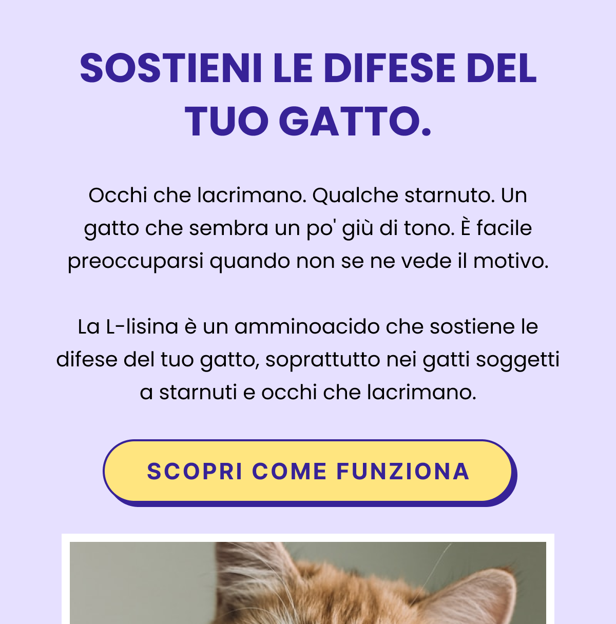 SOSTIENI LE DIFESE DEL TUO GATTO