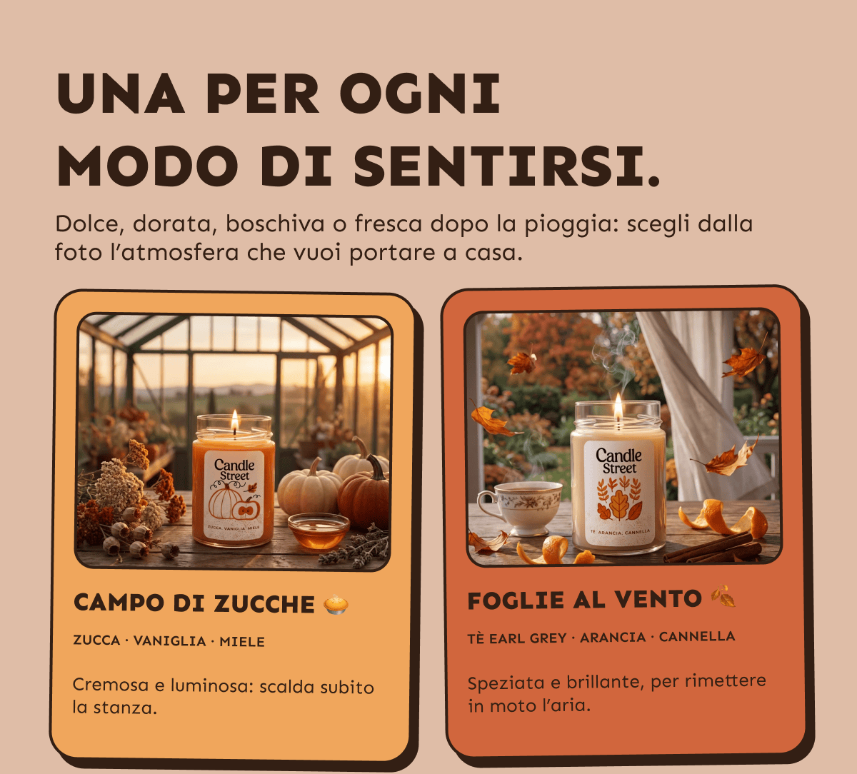 Campo di zucche e Foglie al vento