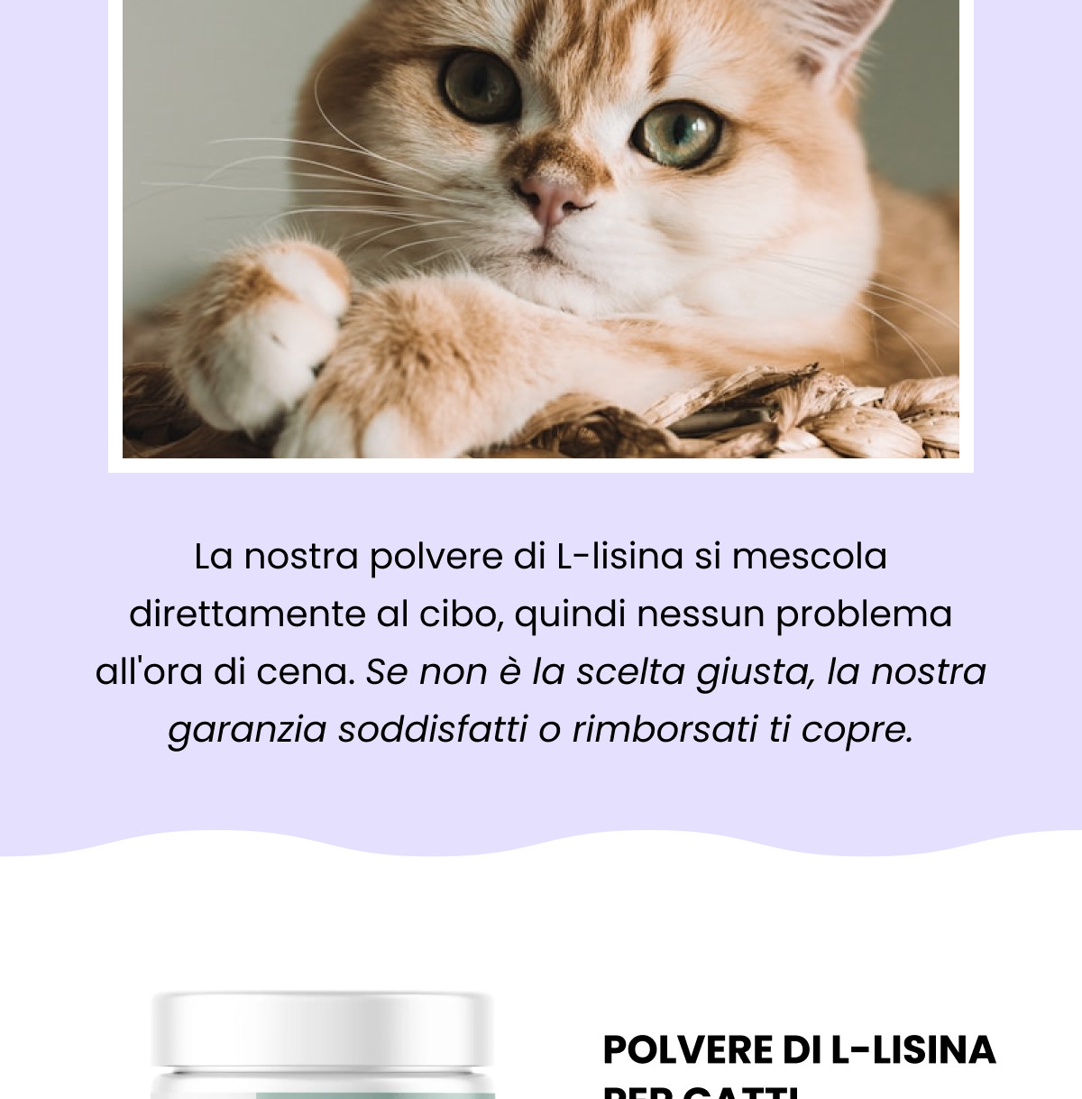 Occhi che lacrimano. Qualche starnuto. Un gatto che sembra un po' giù di tono. È facile preoccuparsi quando non se ne vede il motivo. La L-lisina è un amminoacido che sostiene le difese del tuo gatto, soprattutto nei gatti soggetti a starnuti e occhi che lacrimano. La nostra polvere di L-lisina si mescola direttamente al cibo, quindi nessun problema all'ora di cena. Se non è la scelta giusta, la nostra garanzia soddisfatti o rimborsati ti copre.