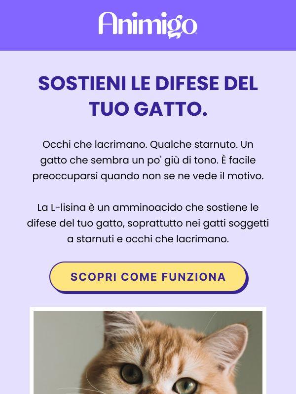 Gli starnuti sono tornati?