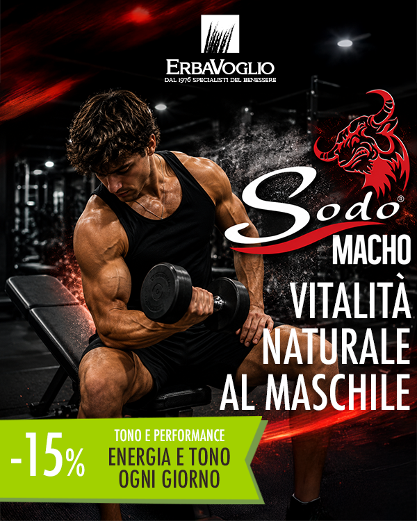 Sodo Macho