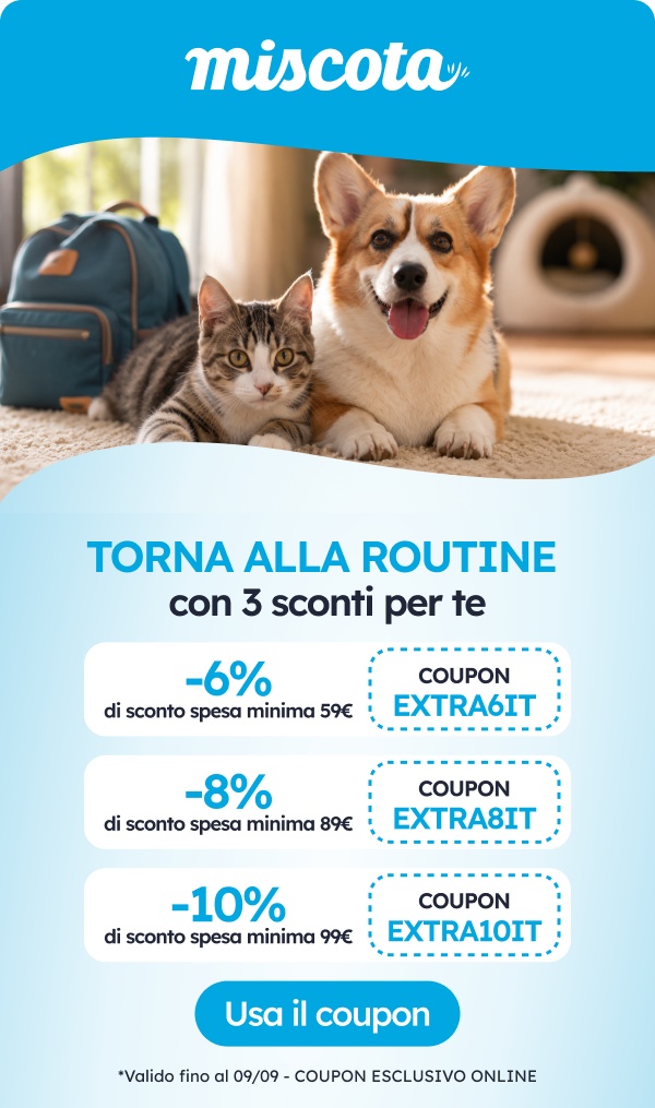 Torna alla routine con le migliori promo.