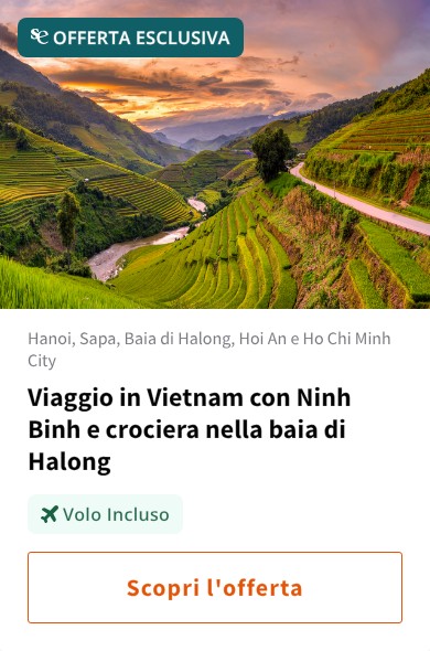 Viaggio in Vietnam con Ninh Binh e crociera nella baia di Halong