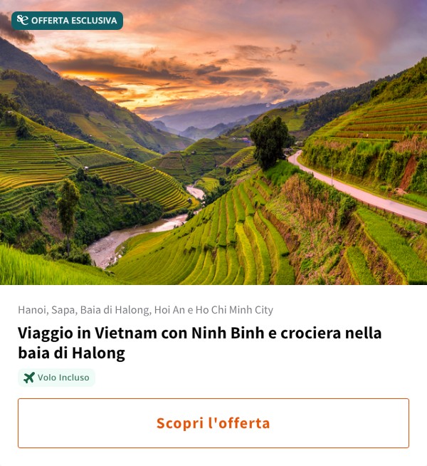 Viaggio in Vietnam con Ninh Binh e crociera nella baia di Halong