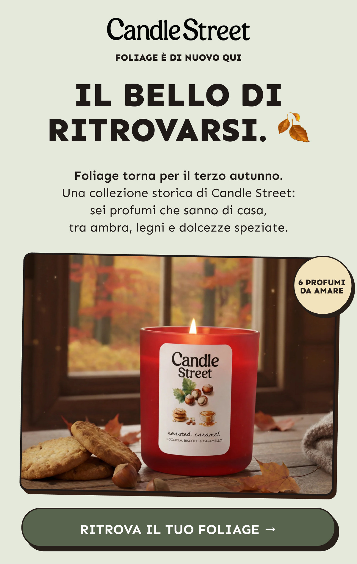 Foliage torna per il terzo autunno. Una collezione storica di Candle Street: sei profumi che sanno di casa, tra ambra, legni e dolcezze speziate. Ritrova il tuo Foliage.