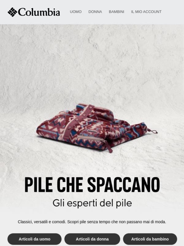 Gli esperti del pile