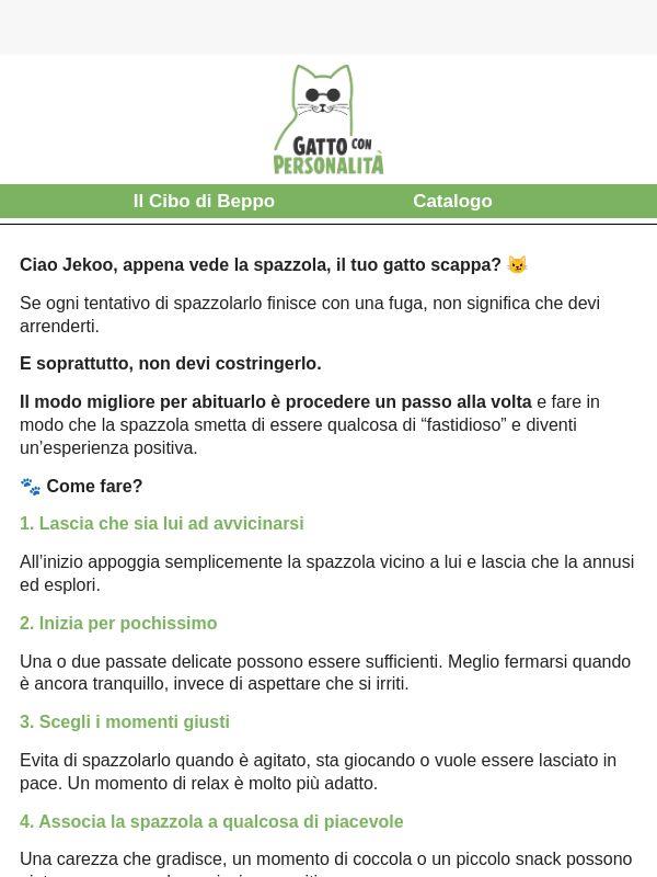 Il tuo gatto scappa appena provi a spazzolarlo?