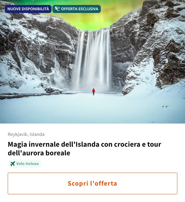 Magia invernale dell'Islanda con crociera e tour dell'aurora boreale