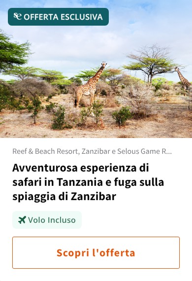 Avventurosa esperienza di safari in Tanzania e fuga sulla spiaggia di Zanzibar