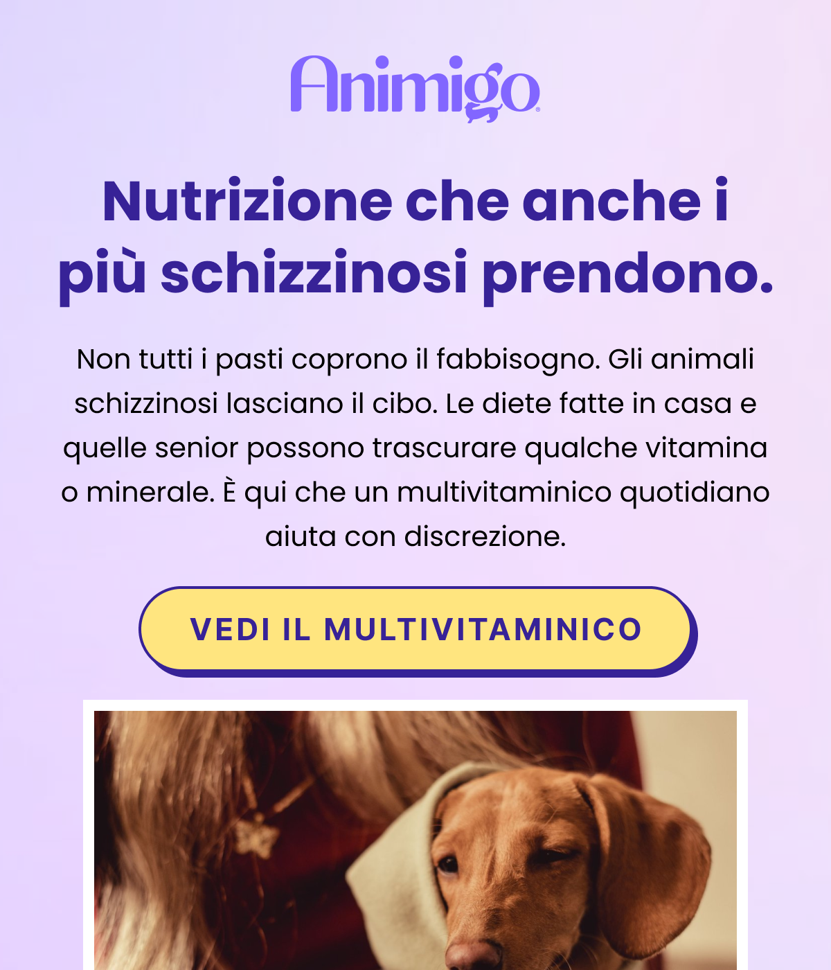 NUTRIZIONE CHE ANCHE I PIÙ SCHIZZINOSI PRENDONO