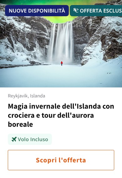Magia invernale dell'Islanda con crociera e tour dell'aurora boreale