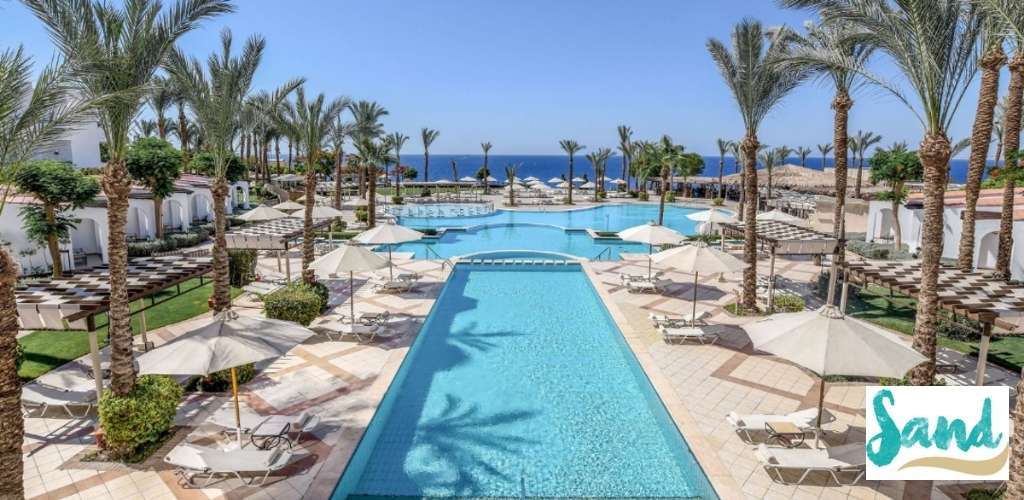 Aerial view of a luxury beachfront resort pool with palm trees, sun loungers and parasols leading to the turquoise sea under a clear sky