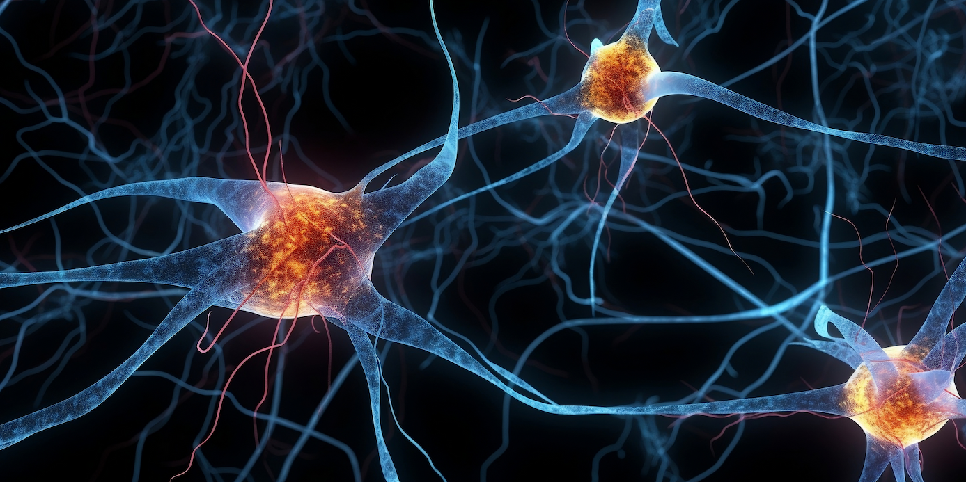 DHA e funzioni cerebrali