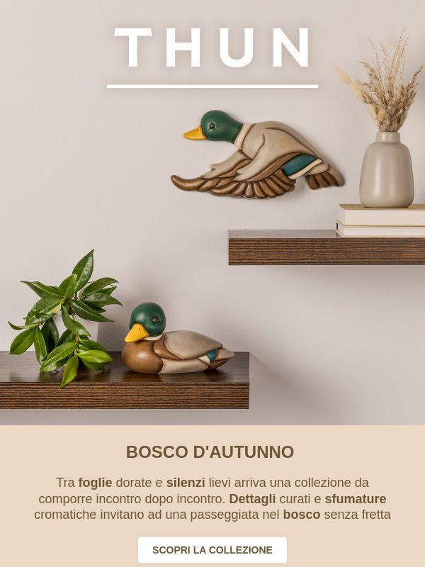 Il bosco rivela nuove creazioni 🌳