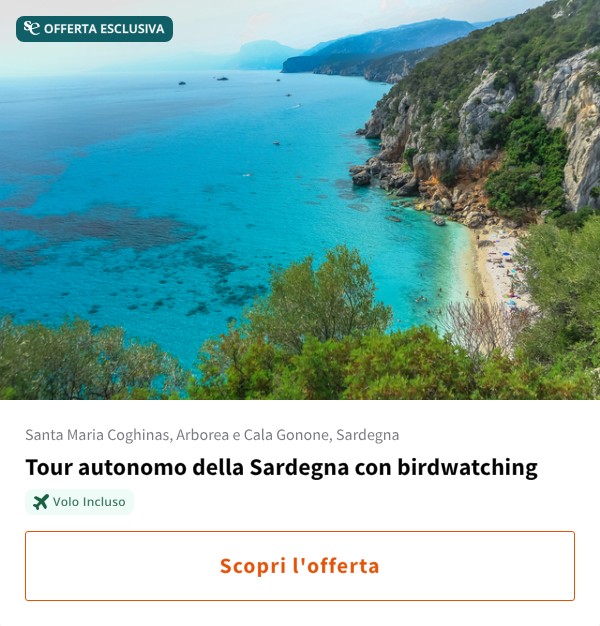 Tour autonomo della Sardegna con birdwatching