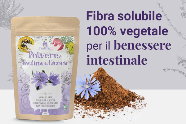 Polvere di Inulina da Cicoria