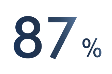 Testo che mostra 87%.