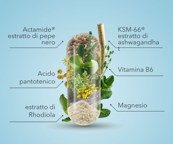 Ingredienti