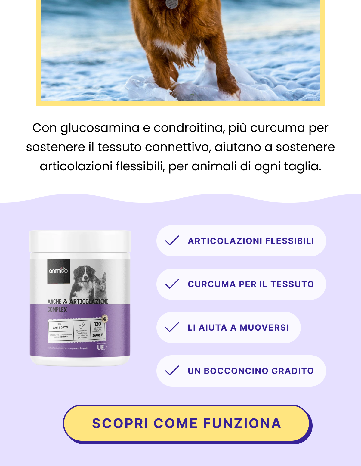 Abbiamo ordinato troppi dei nostri bocconcini per Anche e Articolazioni, così proponiamo a te di risparmiare. Una confezione costa 9,99 €, e più ne prendi, meno paghi, fino al 57% di sconto su tre. Con glucosamina e condroitina, più curcuma per sostenere il tessuto connettivo, aiutano a sostenere articolazioni flessibili, per animali di ogni taglia. Se può servirti una confezione, o conosci qualcuno a cui può far comodo, ci aiuteresti a smaltire l'eccedenza.