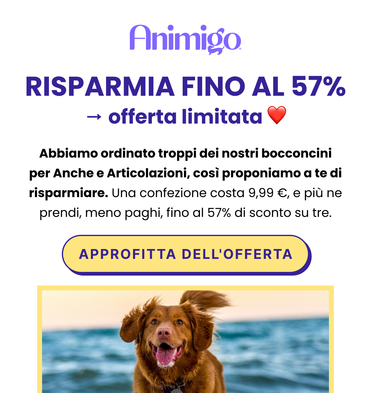 RISPARMIA FINO AL 57% - offerta limitata.