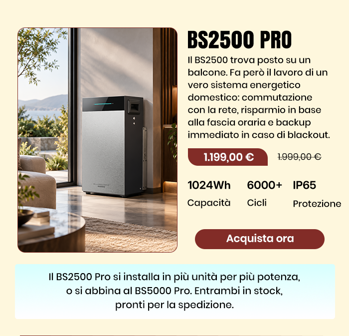 BS2500 PRO - Accumulo a batteria per la casa con controllo intelligente delle tariffe
