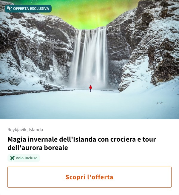 Magia invernale dell'Islanda con crociera e tour dell'aurora boreale