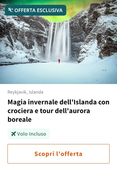 Magia invernale dell'Islanda con crociera e tour dell'aurora boreale