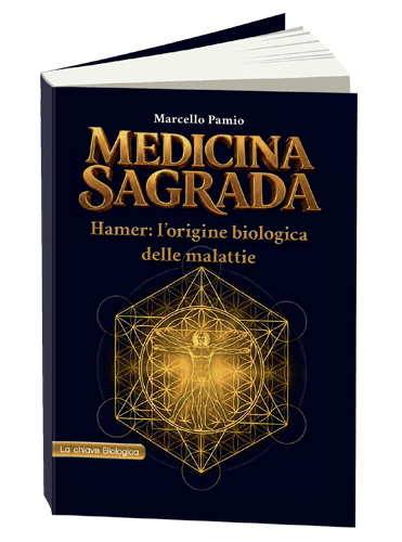 Novità