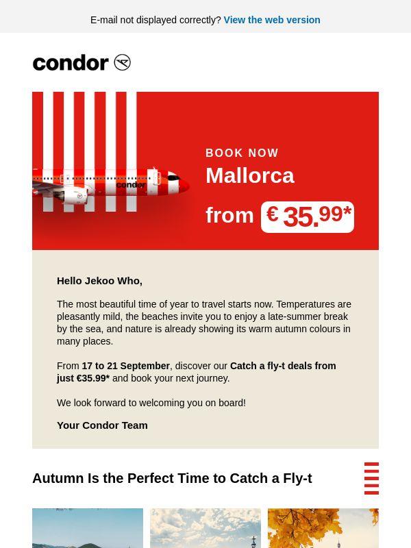 Catch a Fly-t Deals From €35.99*, Jekoo Who!