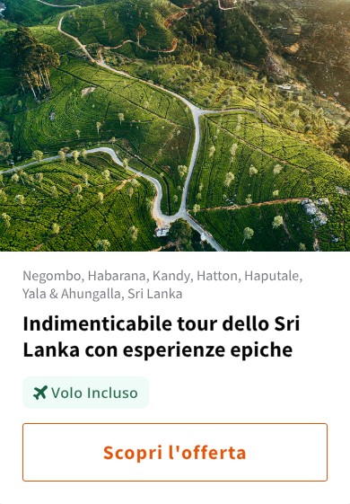 Indimenticabile tour dello Sri Lanka con esperienze epiche