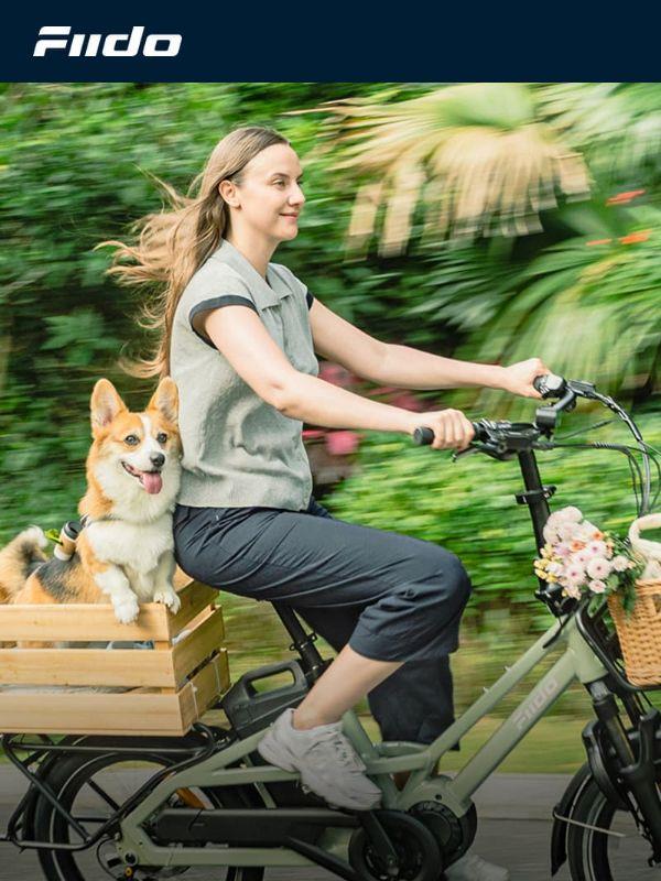 Still Deciding On E-bikes? See What Really Matters